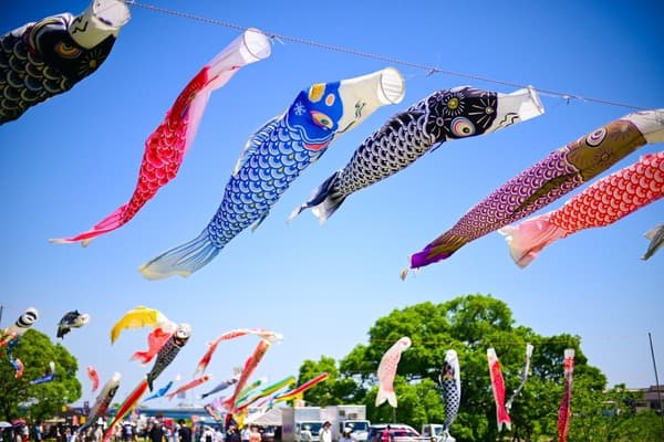 행사 기간 동안 이루마강 위를 날고 있는 코이노보리