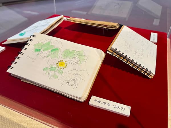 陳列櫃中的素描本