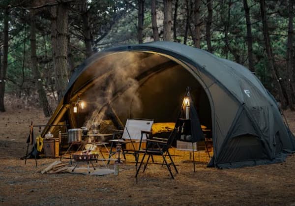 SHELTER GM