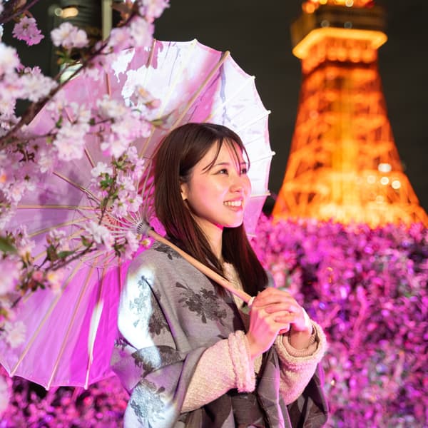 Japanese pattern stole and umbrella rental