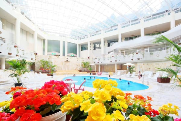 สิ่งอำนวยความสะดวกที่โรงแรม Ooedo Onsen Monogatari Hotel Reoma no Mori