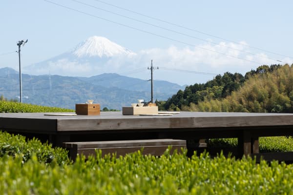 Una terraza de té entre campos de té con vista al monte Fuji