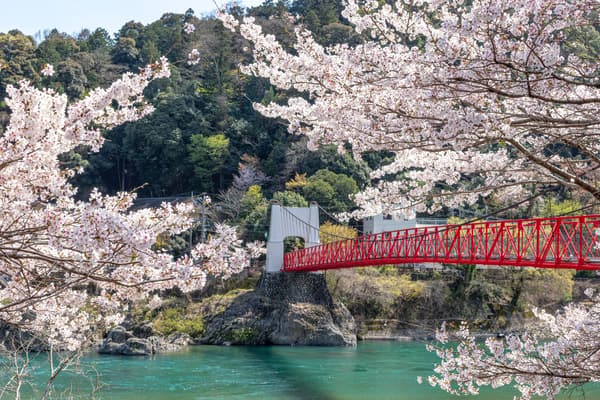 美濃市的長良川