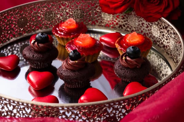 Dulces Rouge d'hiver en Pine Terrace 5