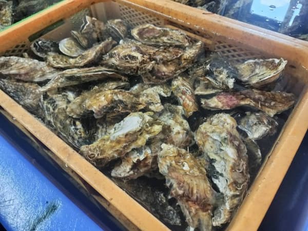 Seafood served at Ekichika Barbecue