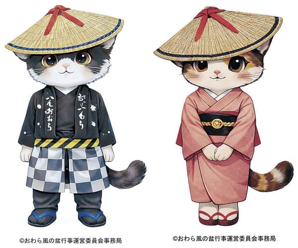 Un plan de estancia para el festival Owara Kaze no Bon