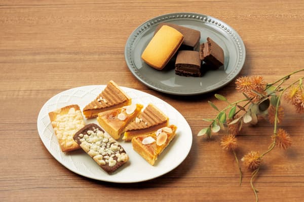 Colección Gateau