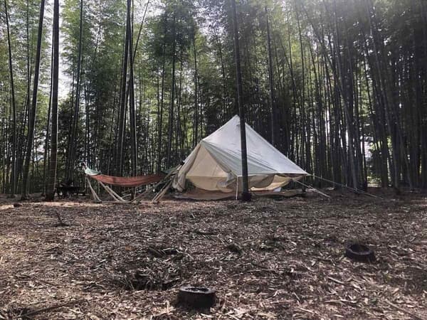 BAMBOO BASE KATSUURA의 캠핑 사이트