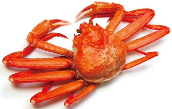 Kepiting