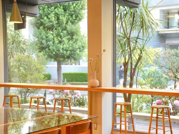 HOCUS POCUS 产品展示