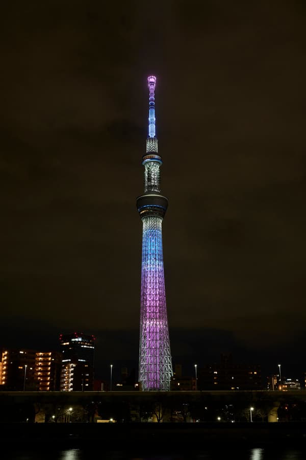 樱花天空香草风味甜甜圈