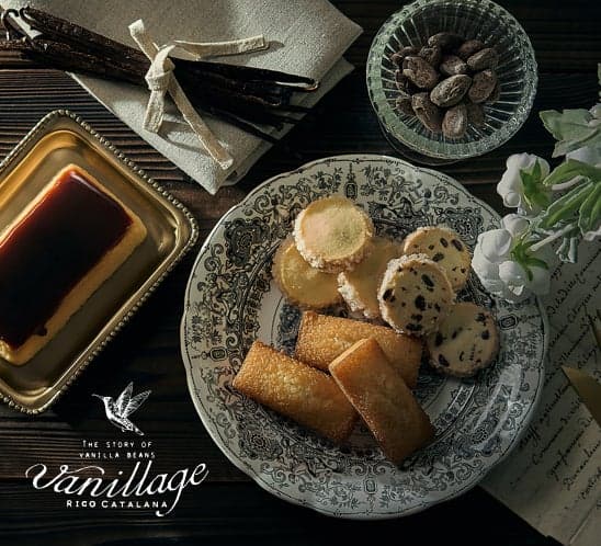 Vanillage brand concept