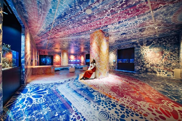 广岛基町水族馆展品