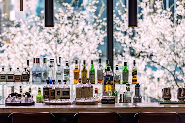 从酒店内部看到的樱花景色