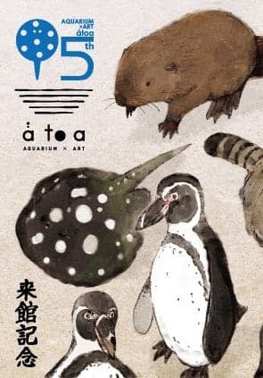átoa 어수도 디자인