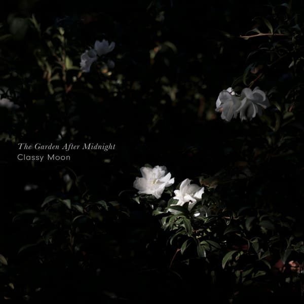 Classy Moon / The Garden After Midnight