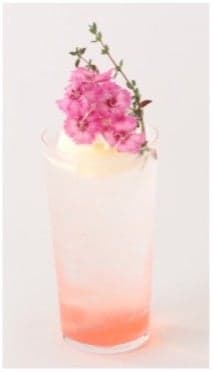 櫻花盛開!春季奶油蘇打