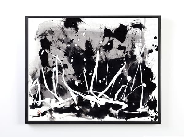 Kotaro Hachinohe的作品