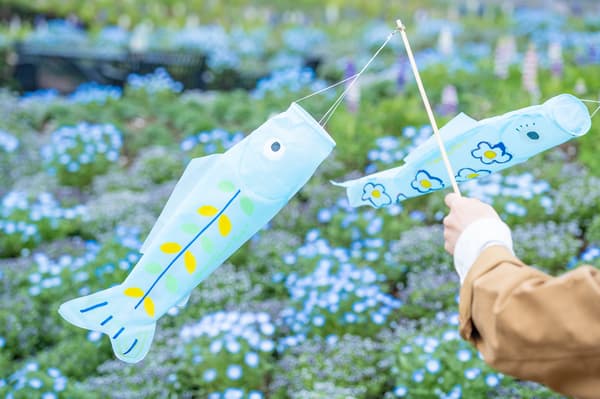 코이노보리 및 보태니컬 아트 활동