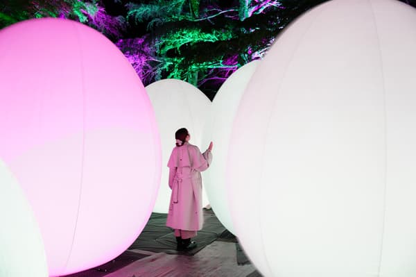 Forest of Resonating Life — Independent and Resonating