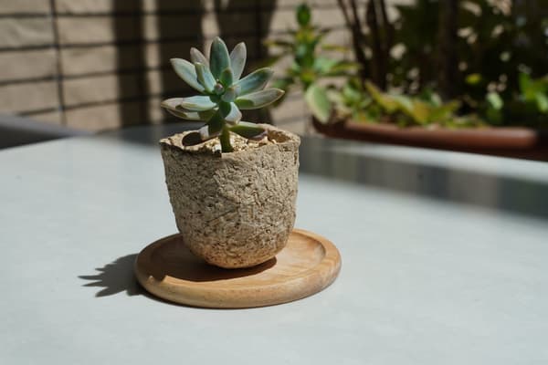 Make an Eco Pot event at Hitachi Seaside Park