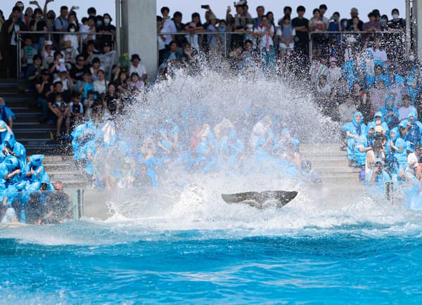 지난해 서머 스플래시 현장
