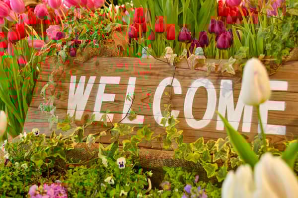 ดอกทิวลิปหลากสี ทั้งสีแดง สีขาว สีเหลือง สีชมพู และสีม่วง พร้อมด้วยดอกไวโอลา ดอกไซคลาเมน และกะหล่ำประดับที่เพิ่มสีสัน