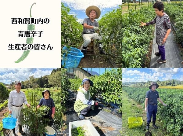 来自该町的合作生产商