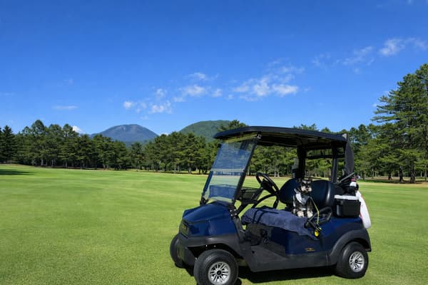 Keluarga berjalan dengan anjing mereka di rumput lapangan golf