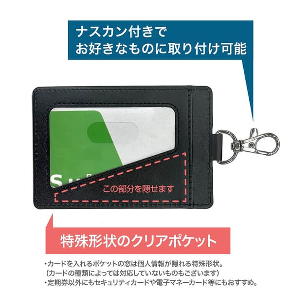 Cure Arcana Shadow pass case detail