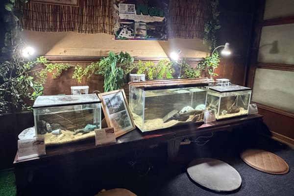 玉寺水族馆夜晚灯光照亮的鱼缸
