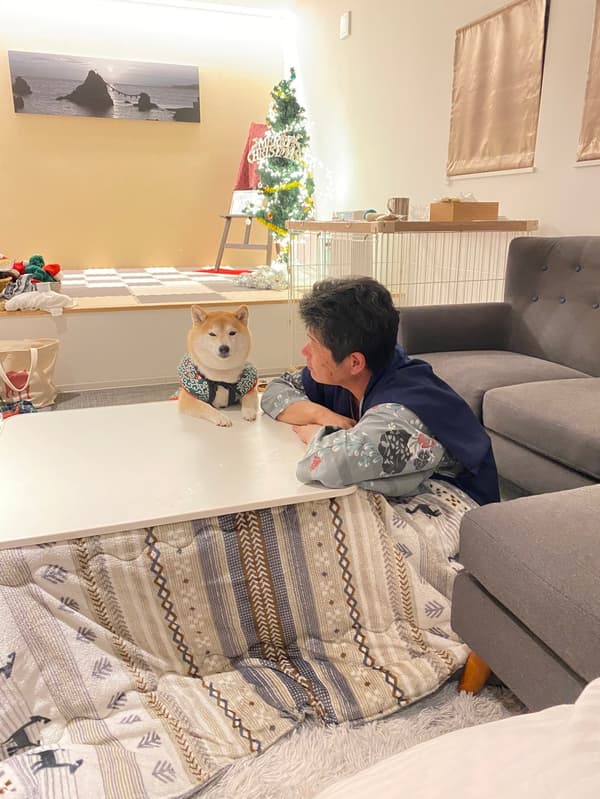 Bersantai dan menghangatkan diri di kotatsu di dalam kamar