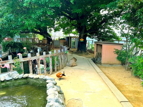 海洋馆4楼LABO11 Forestrium – 森林小径