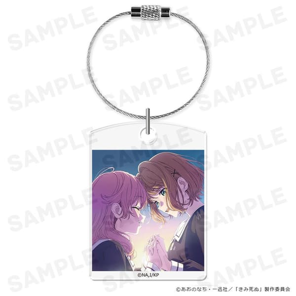 Acrylic Keyring
