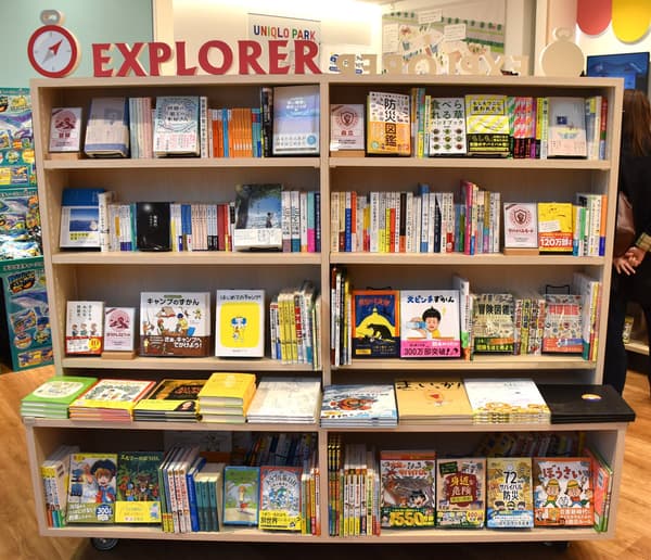 Bookshelf for the recommended theme