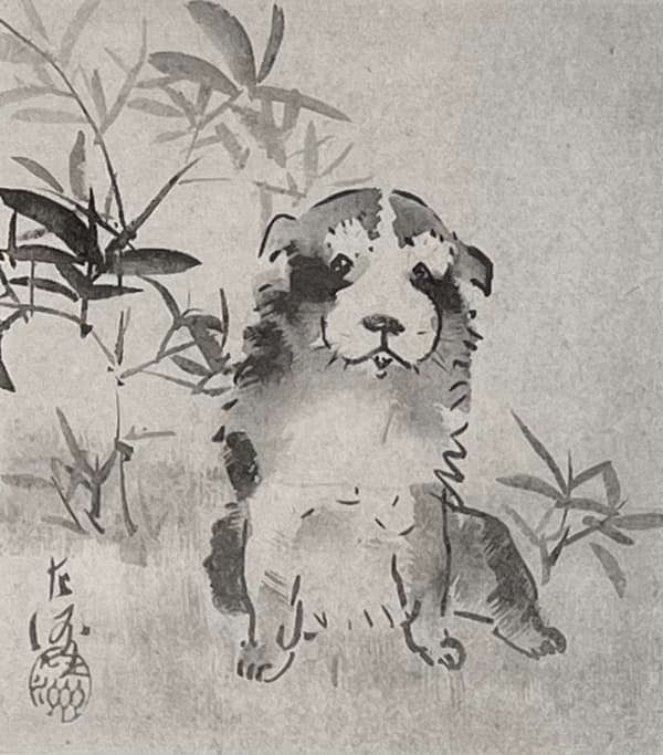 中村左洲作品