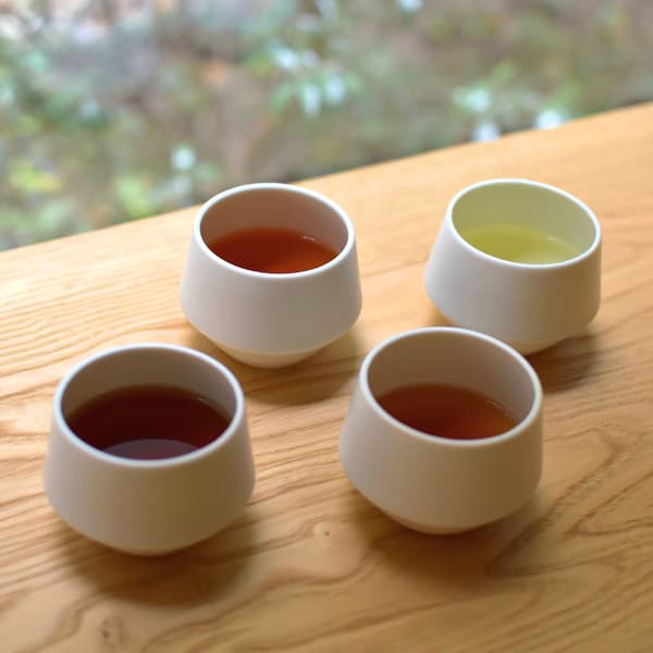 含有100種草藥成分的迷你傳單