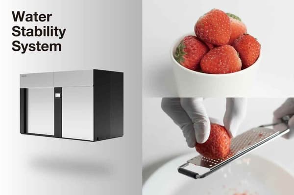 XEM GROUP 的 Snow Berry