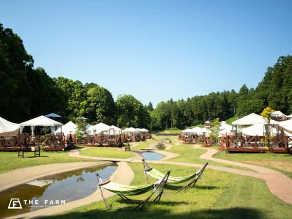 Glamping area with a stream for water activities in summer