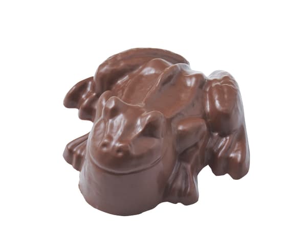 Rana de Chocolate