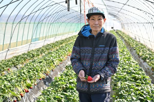 Mizuno Farm, el agricultor Yo Mizuno