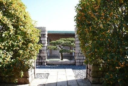 세리자와 게이스케 미술관 정원
