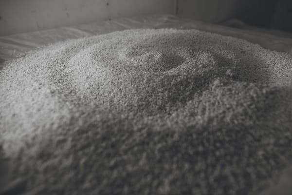 Rice grains