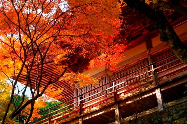 Futagoji Temple