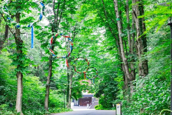 ถนนพวงมาลัยดอกไม้ 8 ชาตินอร์ดิกที่ทางเข้า metsä