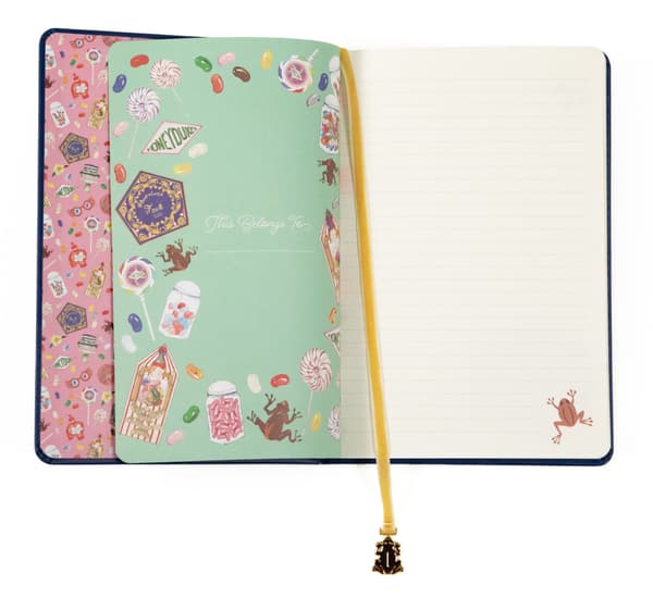 Bonus Item: Chocolate Frog A5 Notebook