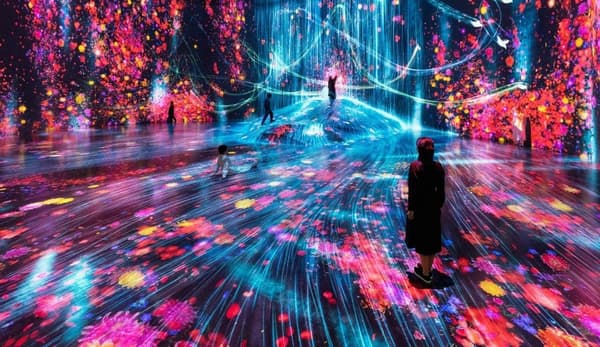 MORI Building DIGITAL ART MUSEUM: EPSON teamLab Borderless, Azabudai Hills, Tokyo