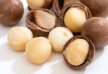 Macadamia nut gelato