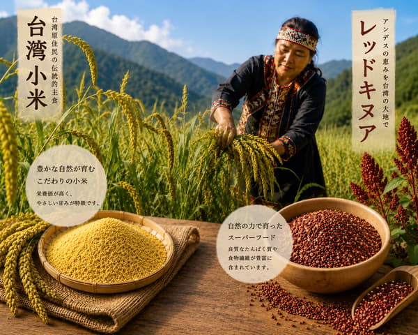 공업기술연구원(ITRI)의 퀴노아 도라야키