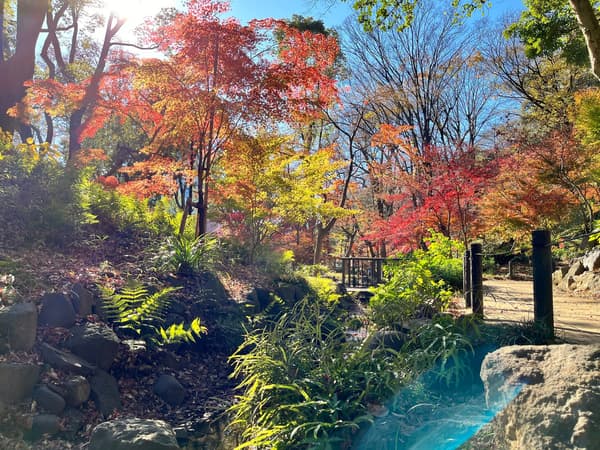 Área 19 del Parque Shiba, Valle Momiji
